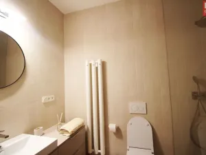 Pronájem bytu 2+kk, Olomouc, Nešverova, 56 m2