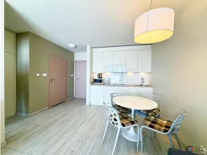 Prodej bytu 2+kk, Dolní Morava, 41 m2