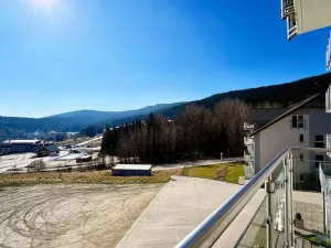 Prodej bytu 2+kk, Dolní Morava, 41 m2