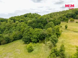 Prodej louky, Nosálov - Libovice, 13358 m2