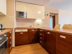 Prodej bytu 2+kk, Plzeň - Jižní Předměstí, U Borského parku, 52 m2