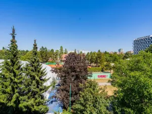 Prodej bytu 2+kk, Plzeň - Jižní Předměstí, U Borského parku, 52 m2