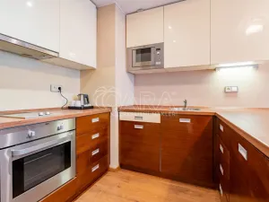 Prodej bytu 2+kk, Plzeň - Jižní Předměstí, U Borského parku, 52 m2