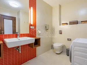 Prodej bytu 2+kk, Plzeň - Jižní Předměstí, U Borského parku, 52 m2
