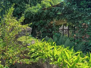 Prodej chalupy, Hroubovice, 83 m2