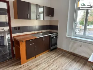 Pronájem bytu 1+1, Františkovy Lázně, Americká, 40 m2