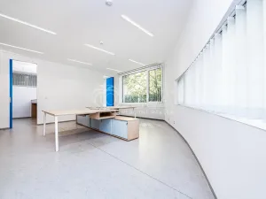 Pronájem obchodního prostoru, Praha - Žižkov, Jeseniova, 240 m2