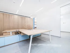 Pronájem obchodního prostoru, Praha - Žižkov, Jeseniova, 240 m2