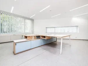 Pronájem obchodního prostoru, Praha - Žižkov, Jeseniova, 240 m2
