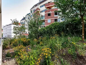 Pronájem obchodního prostoru, Praha - Žižkov, Jeseniova, 240 m2