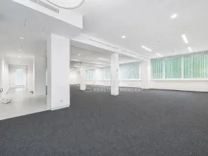 Pronájem obchodního prostoru, Praha - Žižkov, Jeseniova, 240 m2