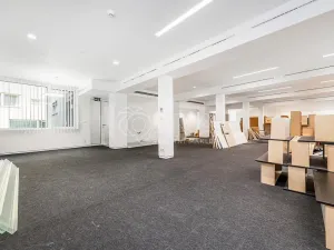 Pronájem obchodního prostoru, Praha - Žižkov, Jeseniova, 240 m2