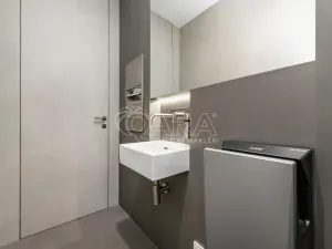 Pronájem obchodního prostoru, Praha - Žižkov, Jeseniova, 240 m2