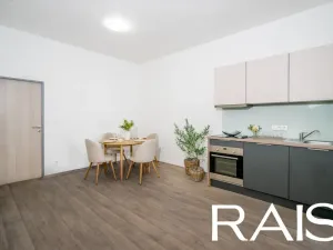 Prodej bytu 3+kk, Brno - Brno-město, Bašty, 58 m2