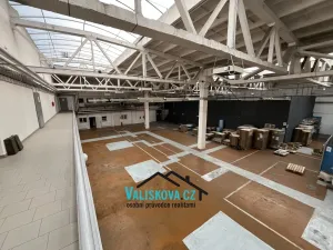 Pronájem výrobních prostor, Kroměříž, 1220 m2
