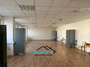 Pronájem výrobních prostor, Kroměříž, 1220 m2