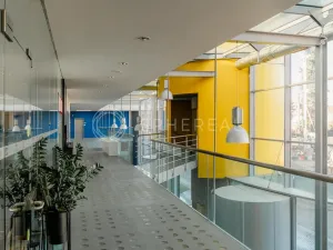 Pronájem obchodního prostoru, Brno - Zábrdovice, Plynárenská, 1000 m2