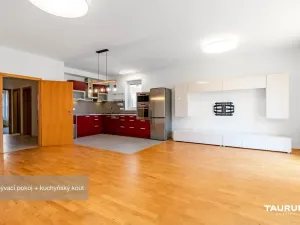 Pronájem bytu 3+kk, Plzeň - Severní Předměstí, Lidická, 86 m2
