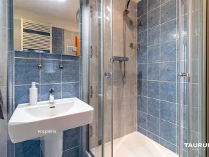Pronájem bytu 3+kk, Plzeň - Severní Předměstí, Lidická, 86 m2