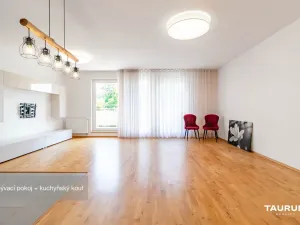 Pronájem bytu 3+kk, Plzeň - Severní Předměstí, Lidická, 89 m2
