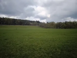 Prodej louky, Hrádek, 19424 m2