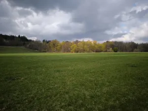 Prodej louky, Hrádek, 19424 m2