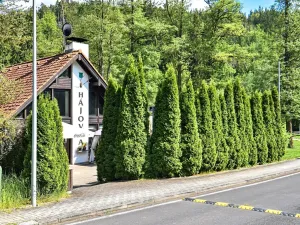 Prodej rodinného domu, Karlovy Vary, Slovenská, 147 m2