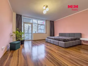 Pronájem bytu 2+kk, Ostrava - Moravská Ostrava, Blahoslavova, 112 m2