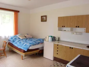 Prodej rodinného domu, Jenišovice - Mravín, 100 m2