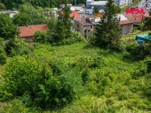 Prodej pozemku pro bydlení, Benešov nad Ploučnicí, 4585 m2