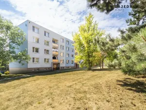 Prodej bytu 2+1, Ivančice, Luční, 55 m2