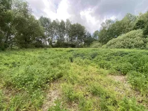 Prodej louky, Nové Hrady - Štiptoň, 6751 m2