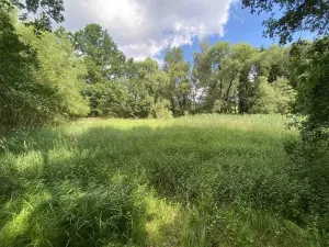 Prodej louky, Nové Hrady - Štiptoň, 4246 m2
