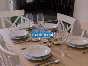 Pronájem bytu 4+1, Zlaté Hory, 170 m2