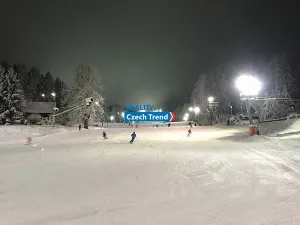 Pronájem rodinného domu, Zlaté Hory, 170 m2