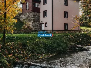 Pronájem rodinného domu, Zlaté Hory, 170 m2
