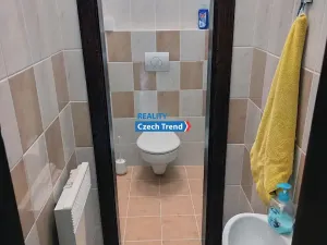 Pronájem chalupy, Zlaté Hory, 170 m2