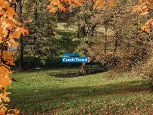 Pronájem chalupy, Zlaté Hory, 170 m2