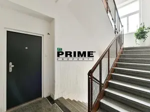 Pronájem bytu 1+kk, Praha - Žižkov, Lucemburská, 30 m2