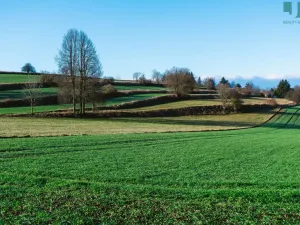 Pronájem bytu 2+kk, Třešť, Nádražní, 45 m2