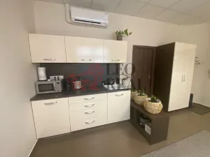 Pronájem obchodního prostoru, Vyškov - Vyškov-Město, 21 m2