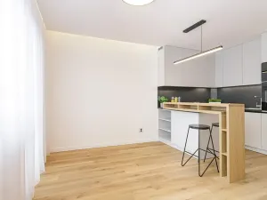 Pronájem bytu 2+kk, Ostrava, Mongolská, 40 m2