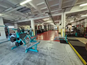 Prodej obchodního prostoru, Znojmo, Vídeňská třída, 5100 m2