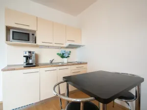 Pronájem bytu 1+kk, Brno, Božetěchova, 32 m2