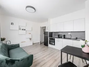 Pronájem bytu 2+kk, Praha - Kamýk, Ve Lhotce, 40 m2