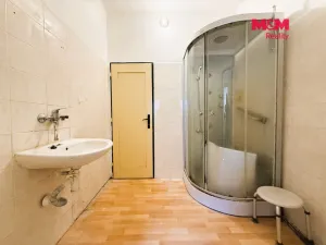 Prodej rodinného domu, Pulečný, 450 m2