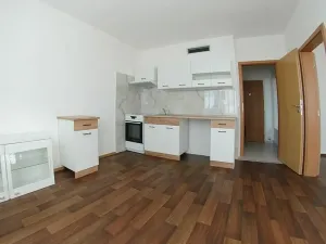 Pronájem bytu 1+1, Plzeň, Dvořákova, 36 m2