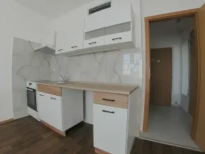 Pronájem bytu 1+1, Plzeň, Dvořákova, 36 m2