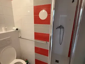 Pronájem bytu 1+1, Plzeň, Dvořákova, 36 m2