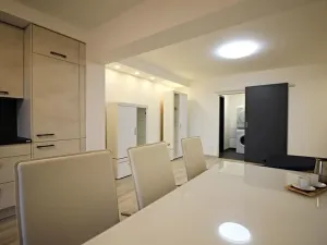 Pronájem bytu 1+kk, Brno, Zákoutí, 58 m2